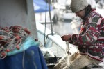 Crollo dei prezzi per i pescatori dell'Adriatico