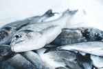 Come riconoscere il pesce fresco?